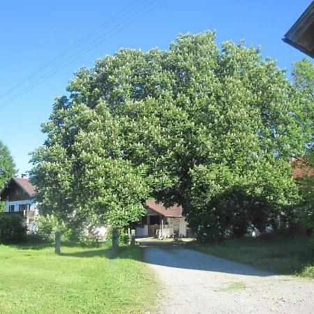 Luxury Apartment in Steingaden Bavaria near Ski Area Steingaden